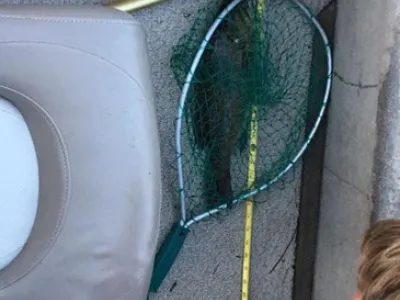 a fish in a net on the floor of a boat
